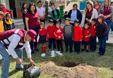 Siembra PAUT Futuro con Reforestación en Escuelas