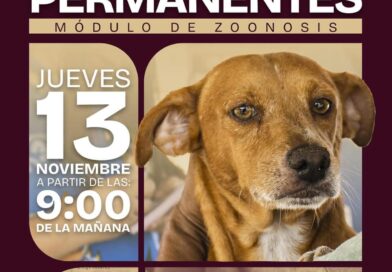 Gobierno de Beto Granados Lleva Vacunación Antirrábica a Ampliación Cabras Pintas