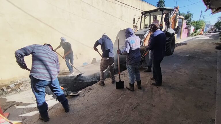 WhatsApp Image 2025-12-10 at 3.56.38 PM